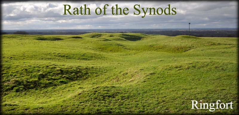 Rath of the Synods